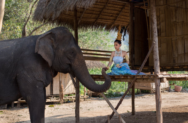 穿着传统服装的泰国女人图片下载
