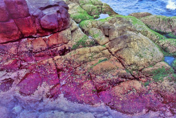 海滨,多彩花岗岩图片下载