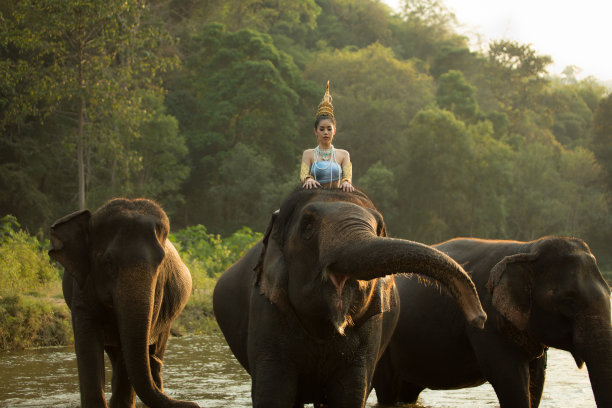 穿着传统服装的泰国女人图片下载