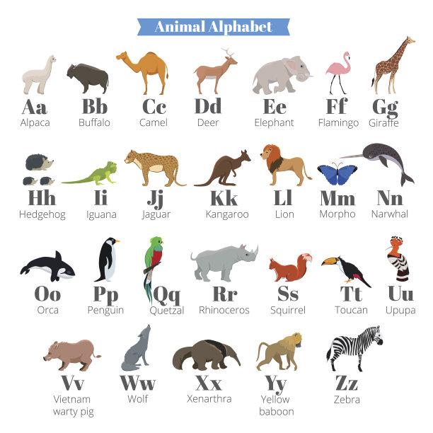 儿童英文字母矢量图，可爱野生动物素材图片