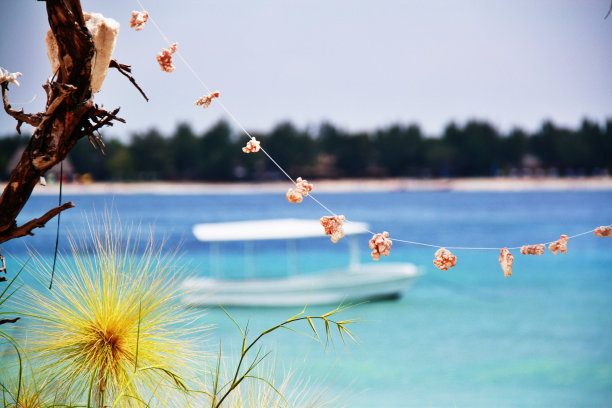 珊瑚项链图片下载