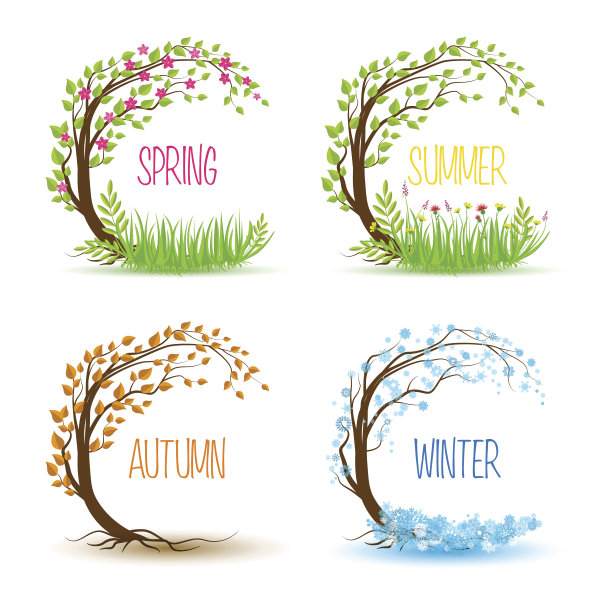 向量季节性树图片下载