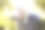 父亲推着婴儿车带着小儿子和小女儿。阳光明媚的公园。素材图片