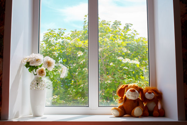 花瓶里有花，窗台上有玩具图片下载