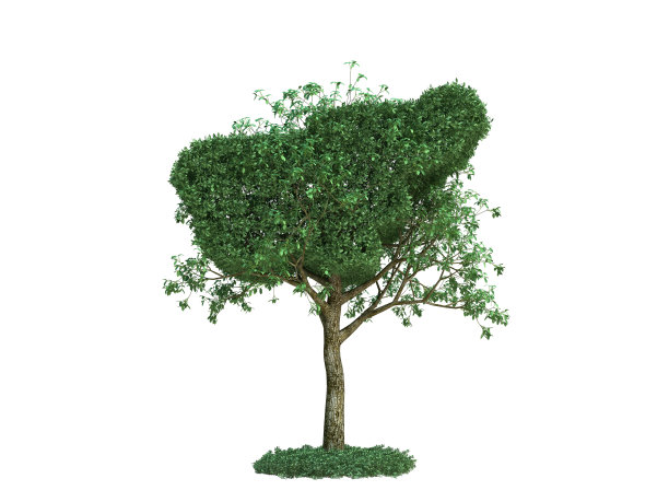 斯洛文尼亚映射树图片下载