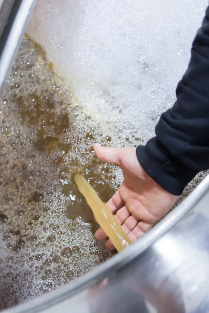 男子检查啤酒加工过程图片下载