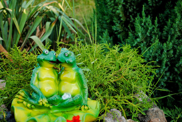 两个绿色的青蛙雕像拥抱着坐在绿色的灌木丛的背景图片下载