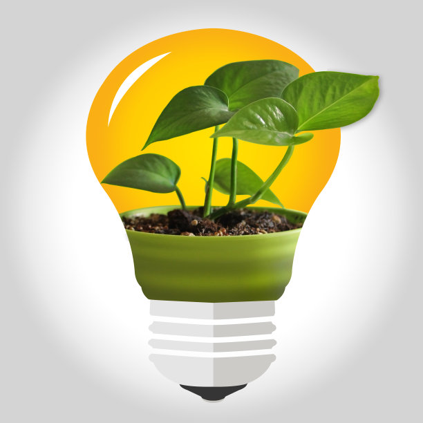 在球茎中种植图片下载