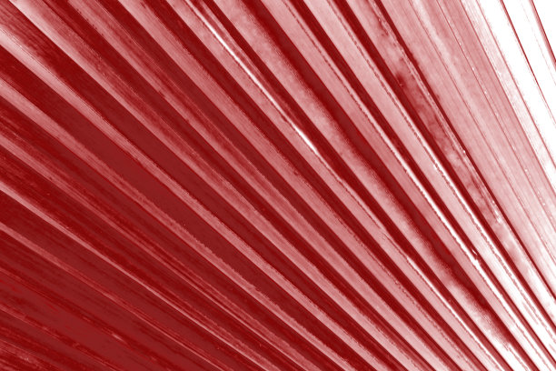 红色背景创建的图片棕榈叶表面。图片下载