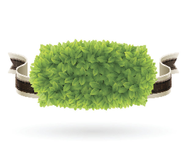 农场新鲜标签与绿色树叶纹理图片下载