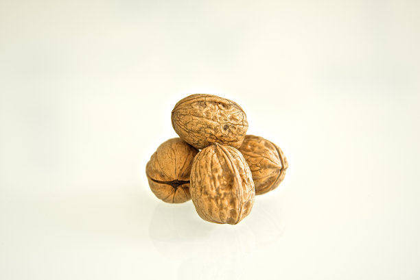 白色背景上的核桃图片下载