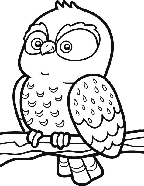 儿童涂色书，小猫头鹰图片下载