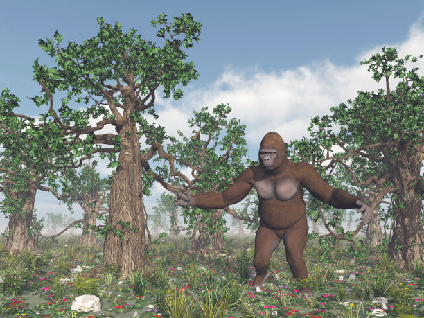 野生的大脚怪图片下载