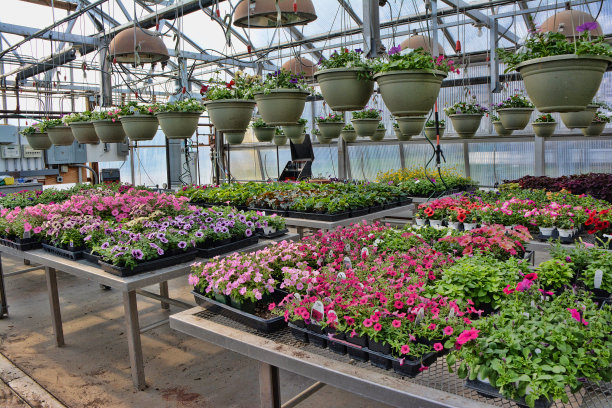 床上用品工厂图片下载