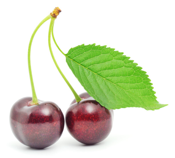 樱桃叶早午餐图片下载