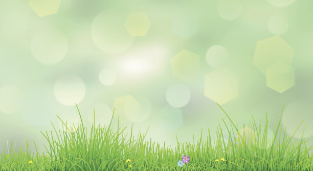 春天的背景是绿草图片下载