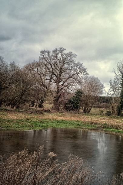 野生——景观图片下载