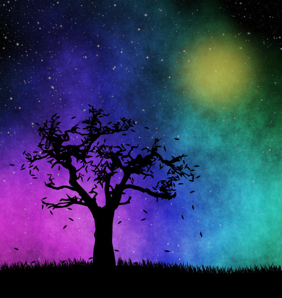 星夜的树图片下载