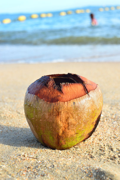 沙滩上的椰子图片下载