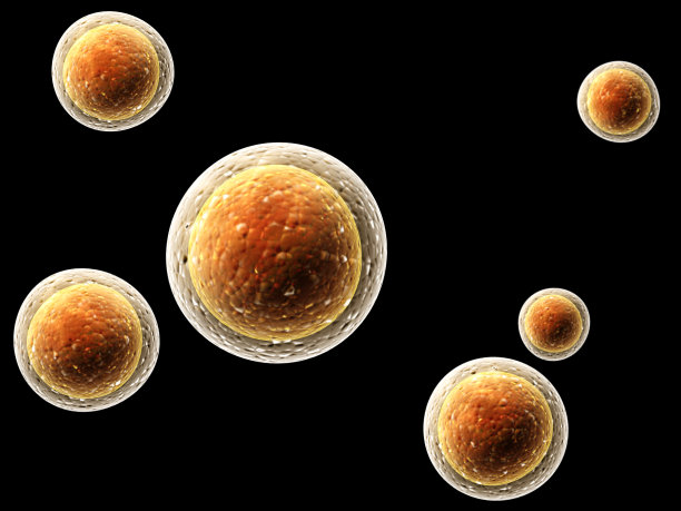 殖民地的病毒图片下载