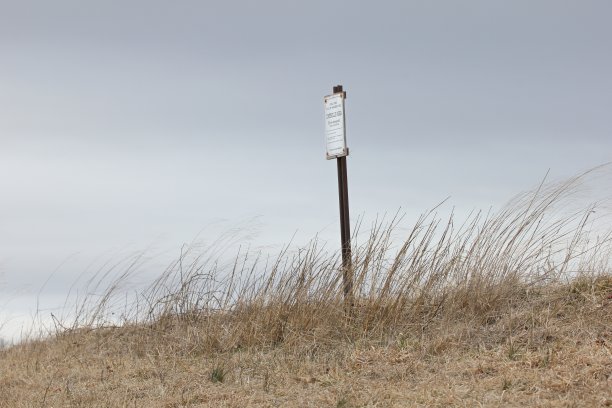 禅宗的迹象图片下载