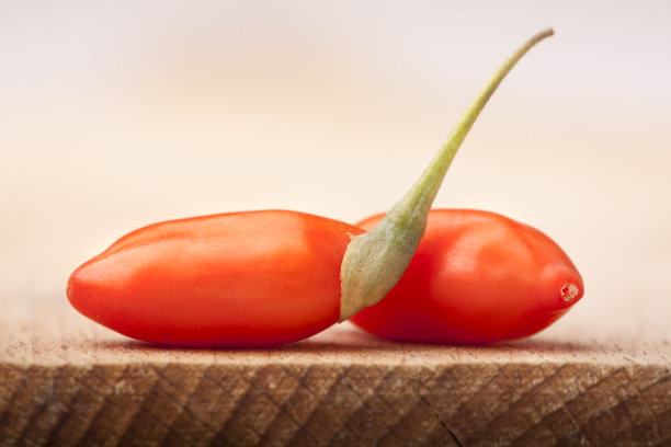 枸杞浆果图片下载