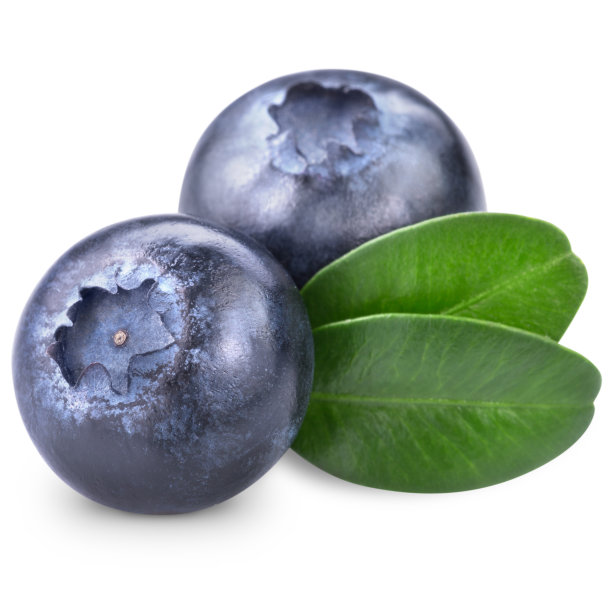 蓝莓图片下载
