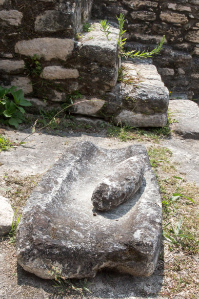 在伯利兹的卡拉科尔，石头在石阶旁熔化图片下载