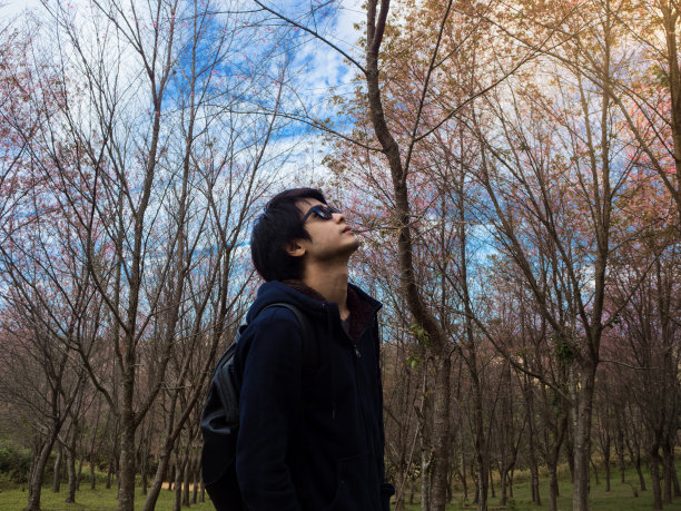 在蔚蓝的天空和粉红色的树叶下，人们进行了一次美丽的自然假期之旅图片下载