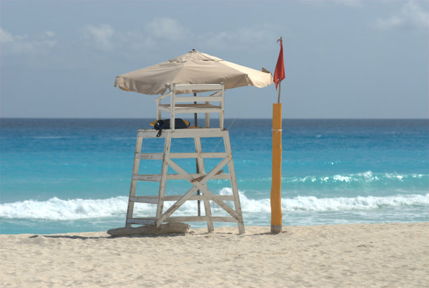 LIFEGAURD站图片下载