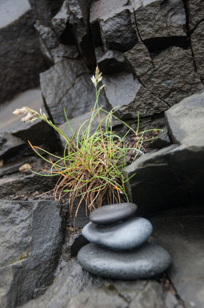 禅宗石图片下载