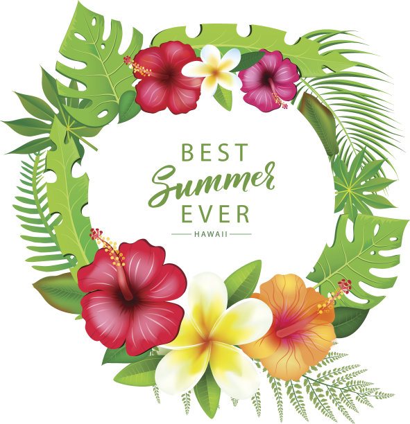 摘要背景与热带树叶图片下载