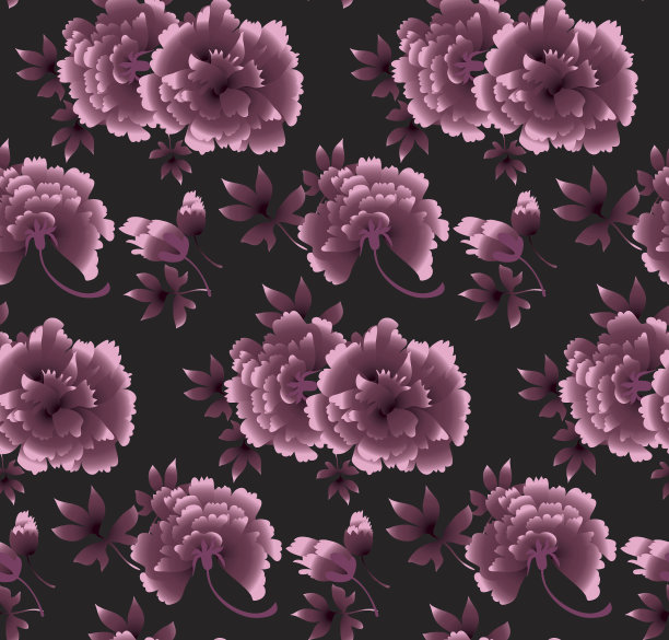 牡丹花图案上的黑色背景。图片下载