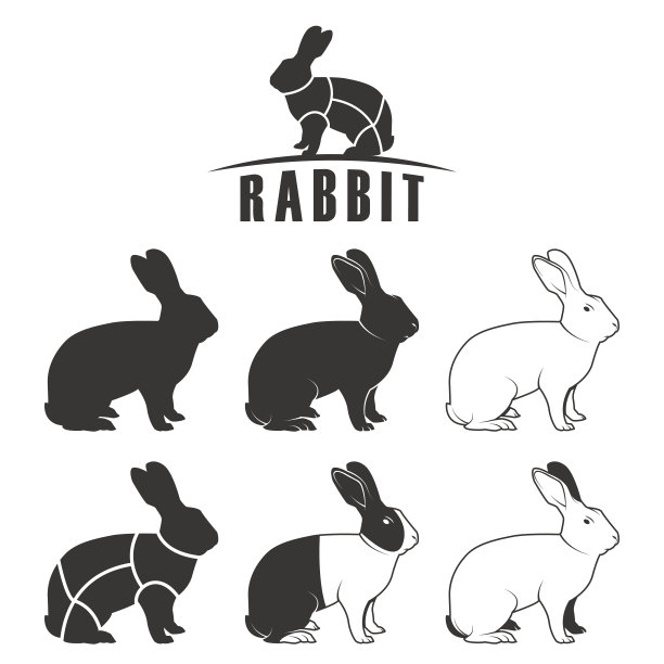 兔子集图片下载