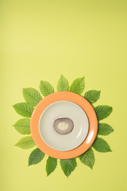 洋葱片放在白色和橙色的盘子里，叶子上，背景是酸橙绿色。垂直设计的传单，横幅，封面或传单图片下载