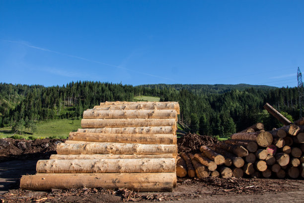 在奥地利砍伐树干图片下载