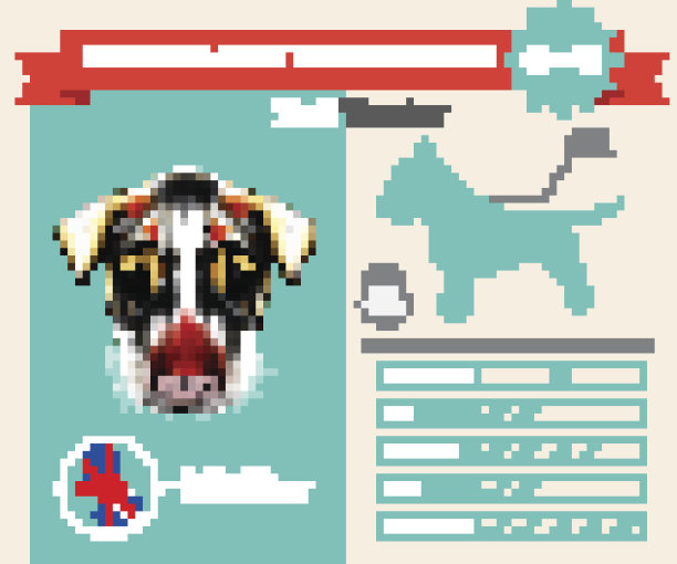 斗牛梗犬品种矢量信息图。图片下载