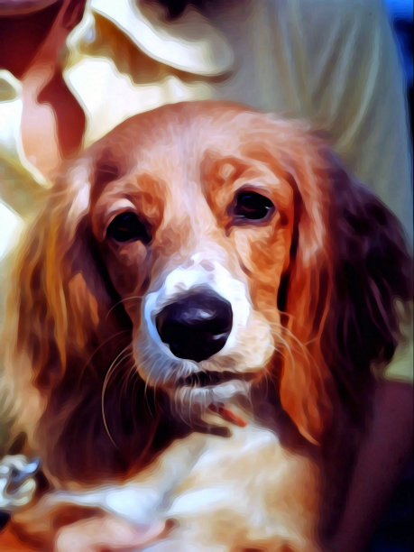 我的可乐图片下载