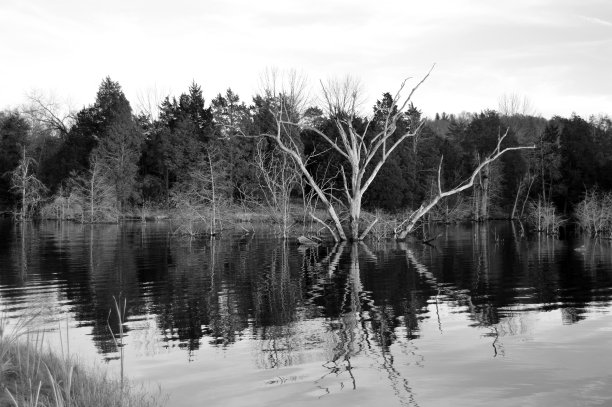 湖倒影图片下载