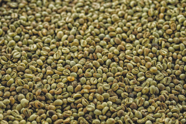 绿色的罗布斯塔图片下载