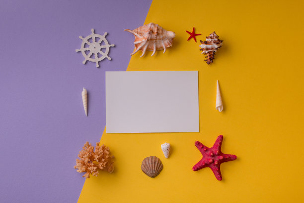 用贝壳制成的纸卡片图片下载