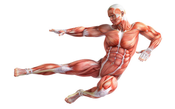 解剖的人跳图片下载