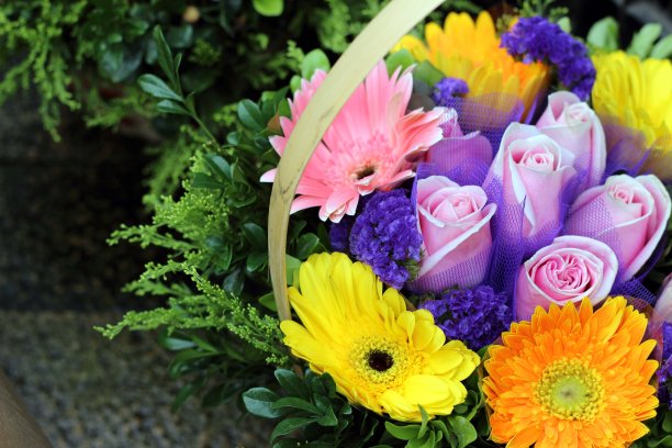 香港花卉市场出售的鳕鱼康乃馨图片下载