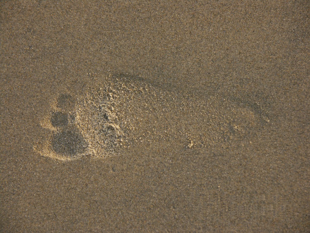 沙子的足迹图片下载