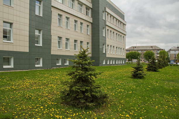 办公大楼附近有冷杉树和蒲公英。图片下载