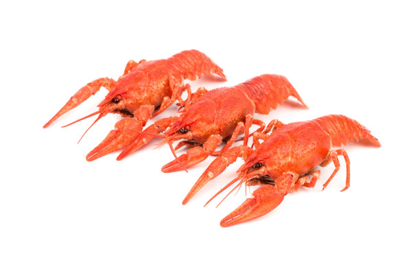 煮熟的小龙虾图片下载