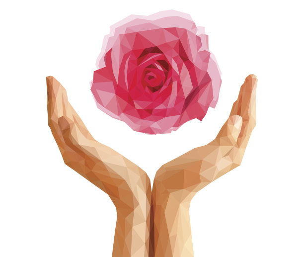 在棕榈杯上开花的多边形玫瑰图片下载