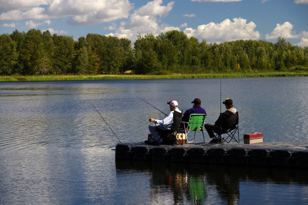 消失的鱼 '图片下载