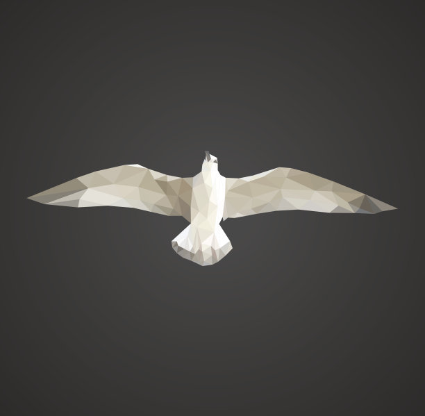 多边形海鸥在飞行中的黑色背景图片下载