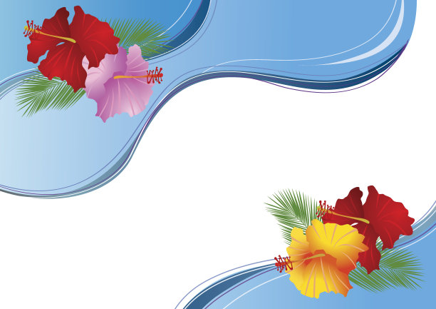 夏海和木槿景观图片下载